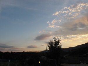 Img_3847